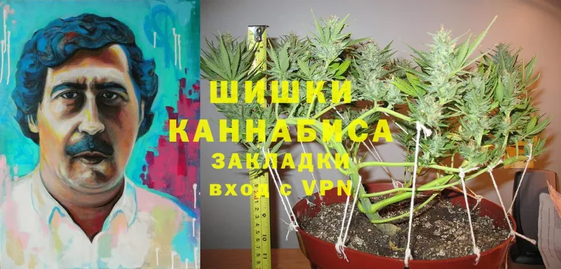 купить наркотик  kraken как войти  Шишки марихуана SATIVA & INDICA  Пенза 